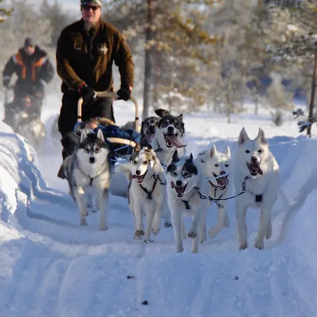 Resort Livo Arctic *