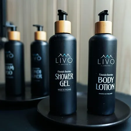 Lomakeskus Livo Arctic *