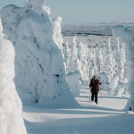 Livo Arctic
