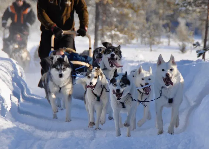 Station touristique Livo Arctic *
